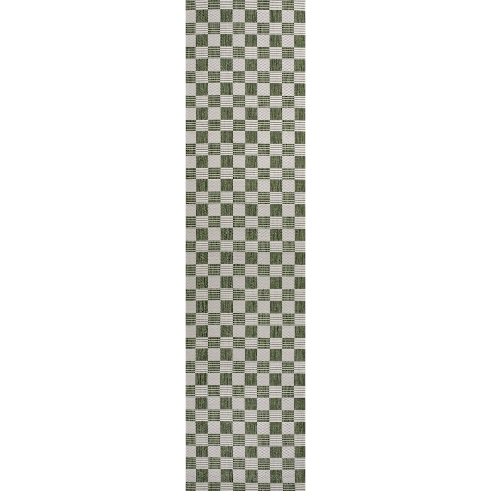 Aimee Traditional Cottage Checkerboard Indoor/Outdoor Area Rug. Picture 3