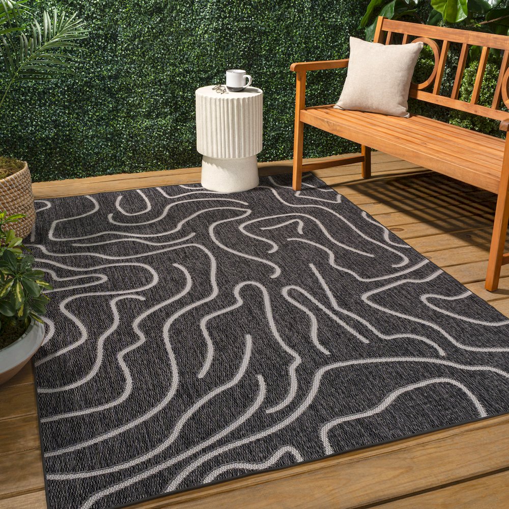 Organic Shapes Black/Cream 3 ft. x 5 ft. Indoor/Outdoor Area Rug. Picture 4