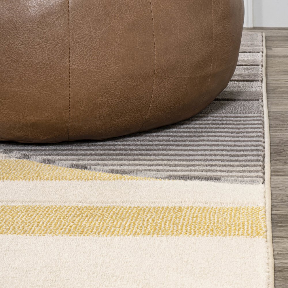 Nicky Geometric Striped Circles Area Rug. Picture 5