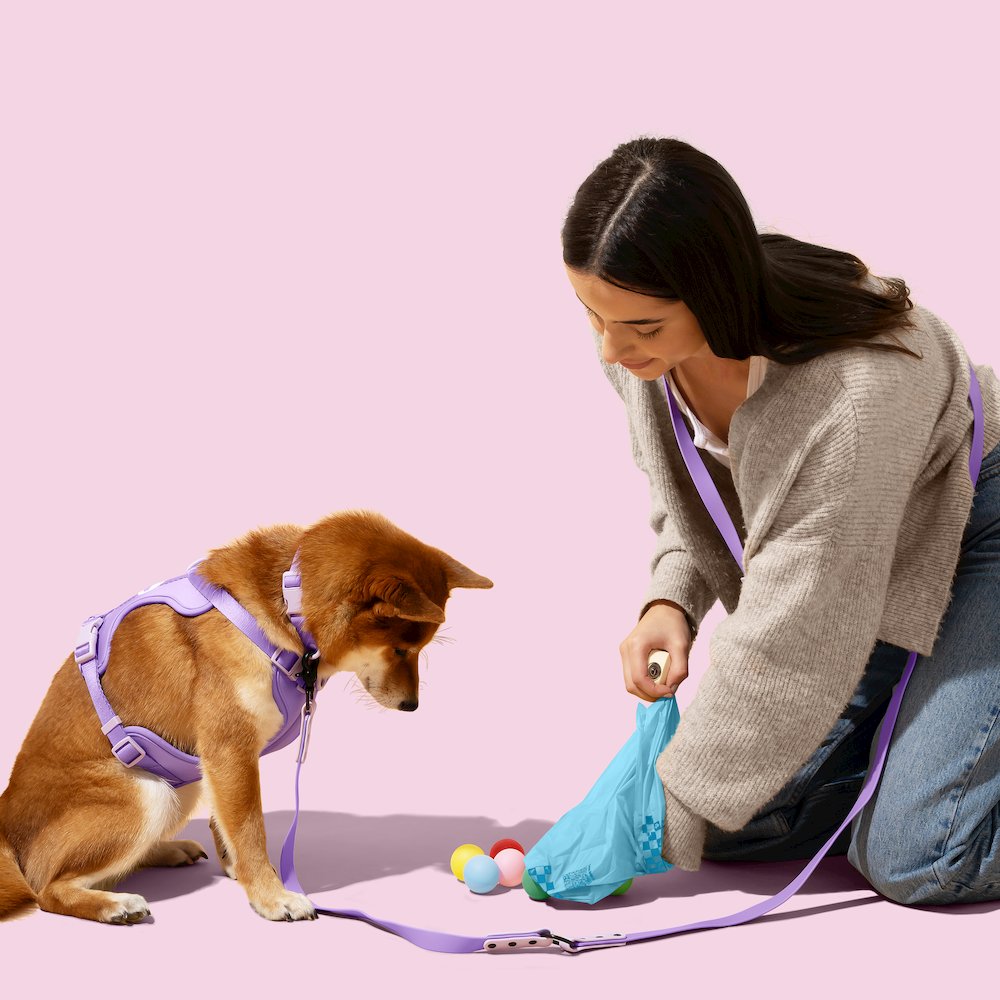 The Licker Store 13 in. x 9 in. Extra Thick Leak Proof Unscented Dog Poop Bags. Picture 2