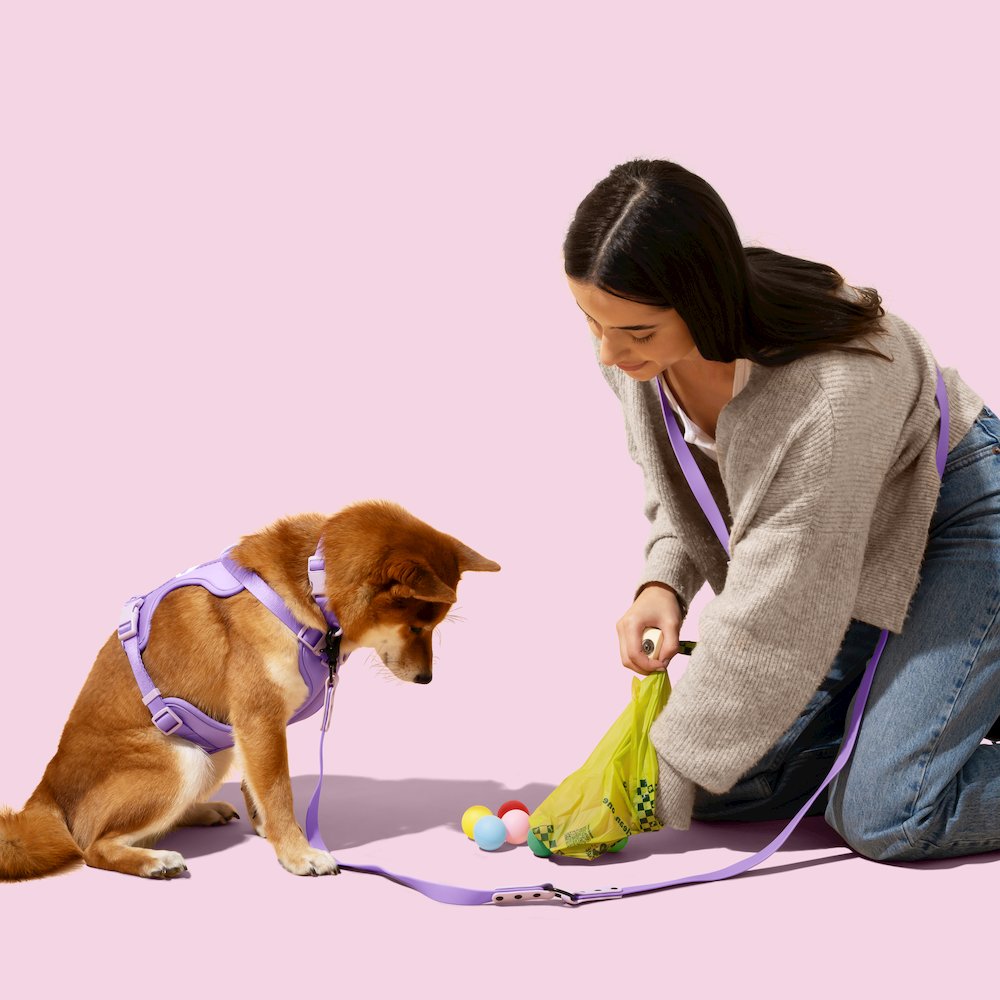13 in. x 9 in. Extra Thick Leak Proof Unscented Biodegradable Dog Poop Bags. Picture 1