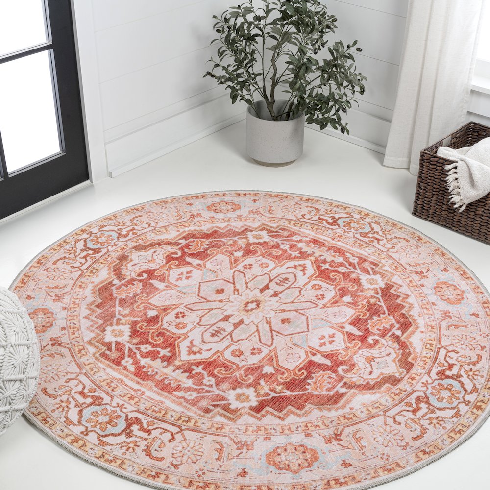 Asa Ornate Medallion Machine-Washable Area Rug. Picture 1