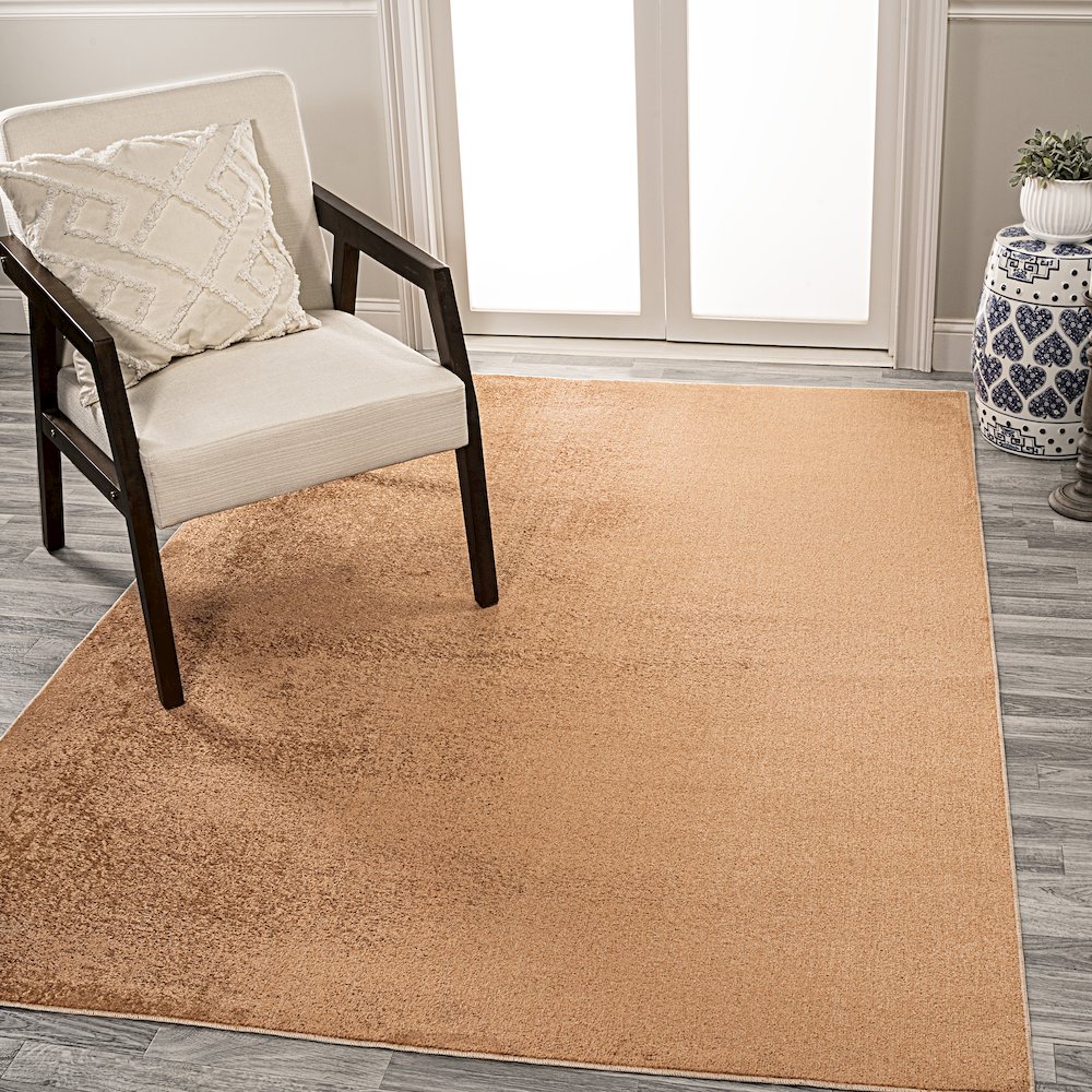 Twyla Classic Solid Low-Pile Machine-Washable Area Rug. Picture 1
