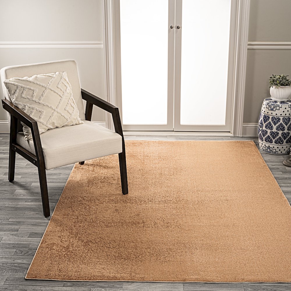 Twyla Classic Solid Low-Pile Machine-Washable Area Rug. Picture 2