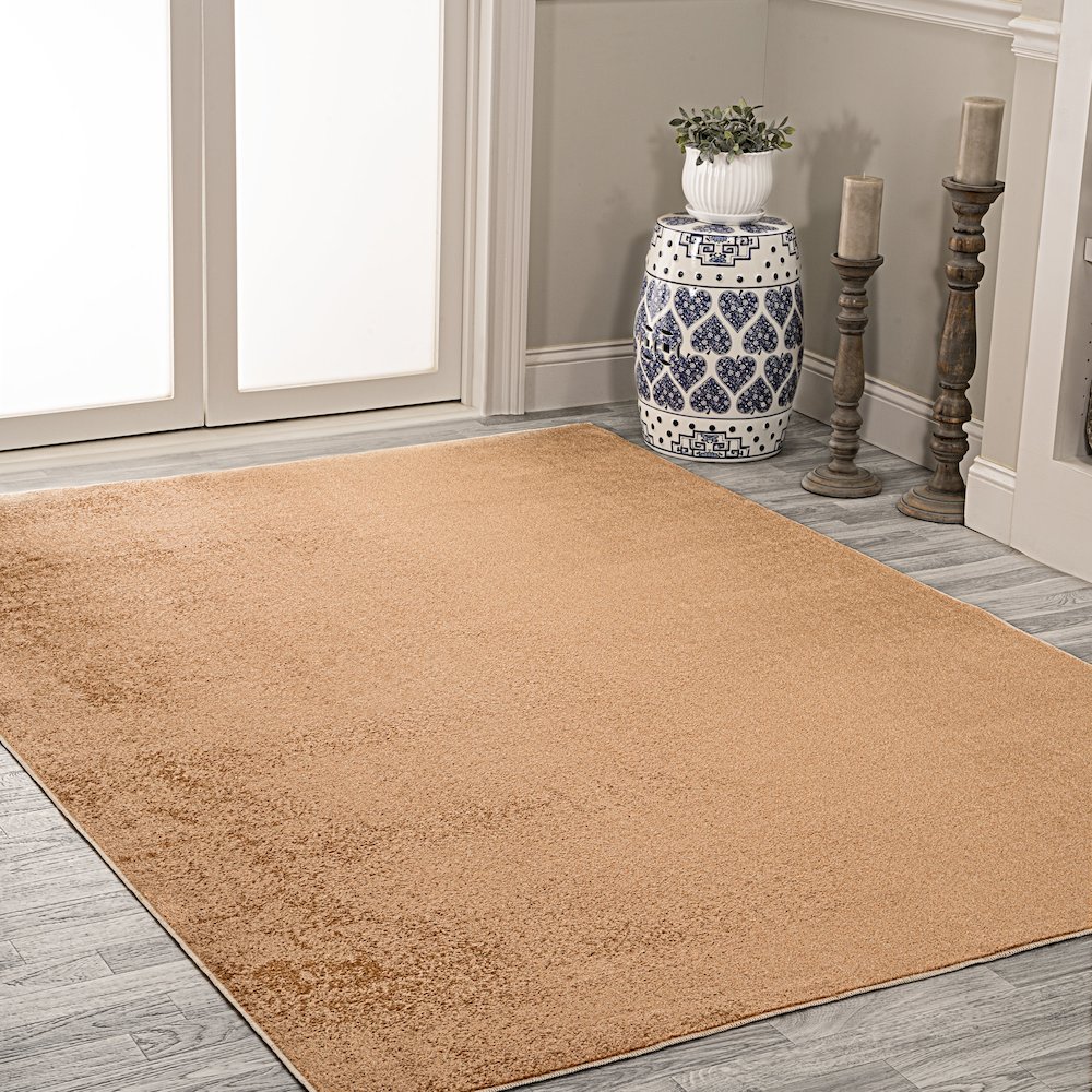 Twyla Classic Solid Low-Pile Machine-Washable Area Rug. Picture 3