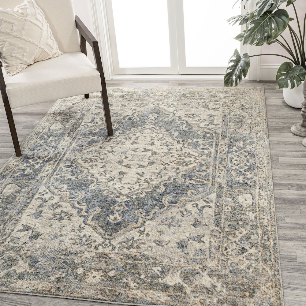 Pavel Distressed Medallion Low-Pile Machine-Washable Area Rug. Picture 1