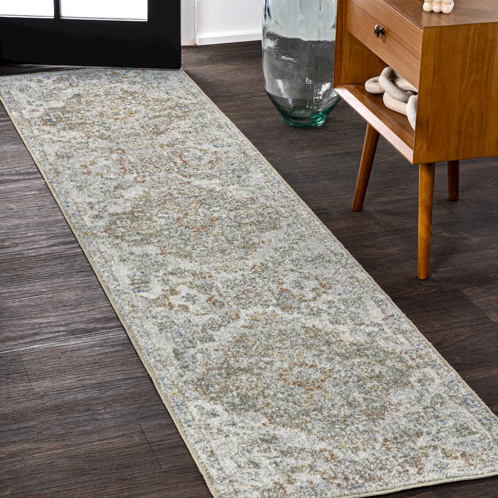 Shaemus Bohemian Medallion Low-Pile Machine-Washable Runner Rug. Picture 1