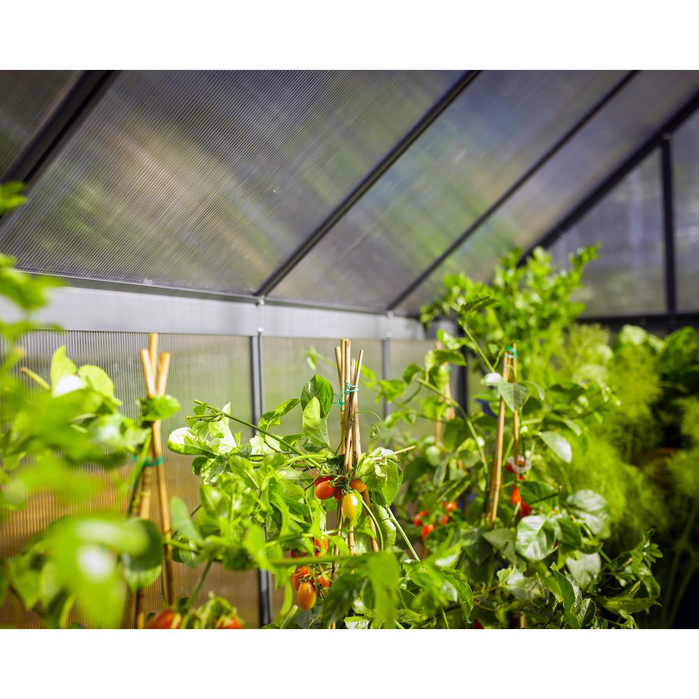 Mythos 6' x 8' Greenhouse - Silver. Picture 51