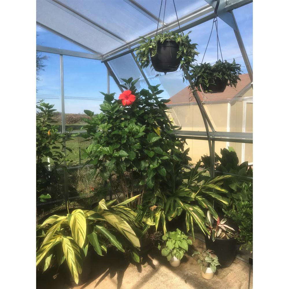 Americana 12' x 12' Greenhouse. Picture 3