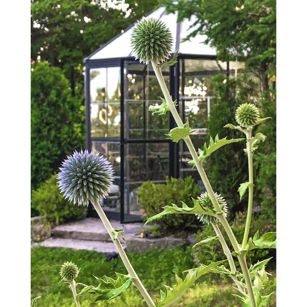 Oasis Hex 7' x 8' Greenhouse. Picture 17