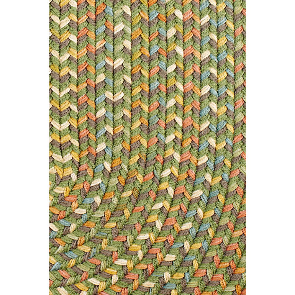 Cypress Olive 8X11 Oval. Picture 2