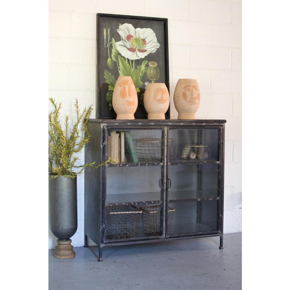 Short Iron And Glass Apothecary Cabinet. Picture 2