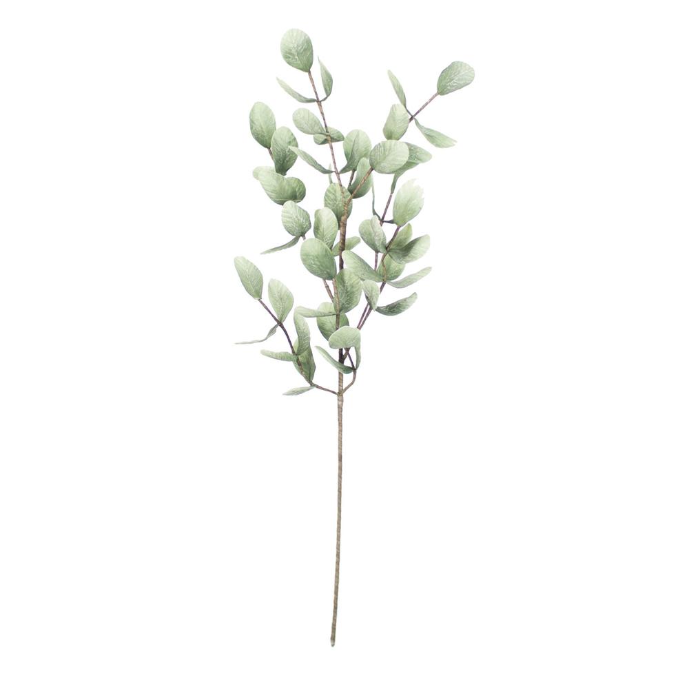 Botanica #875. Picture 2