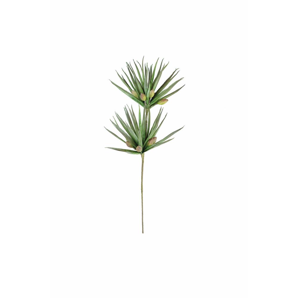 Botanica #3365. Picture 2