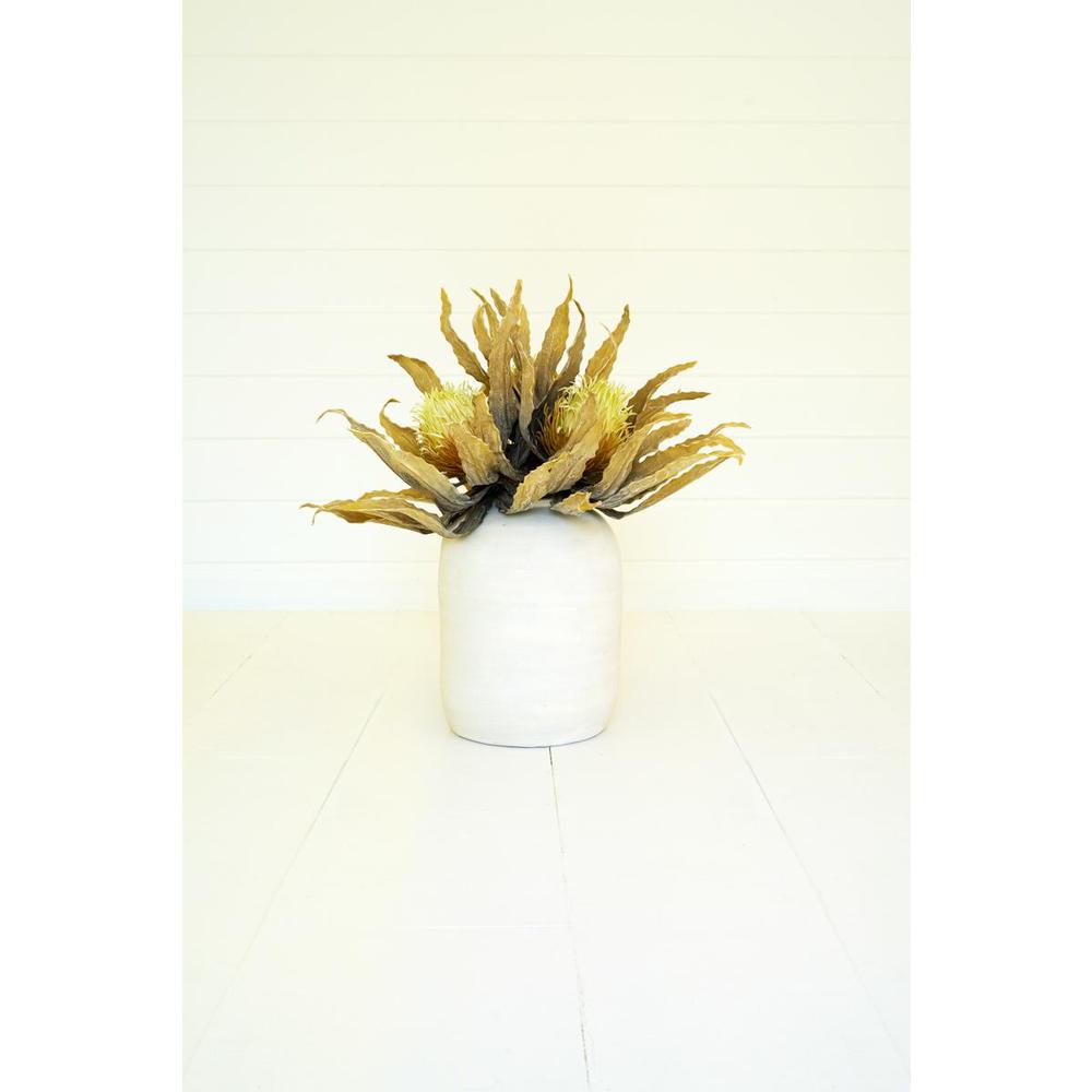 Botanica #3484. Picture 2