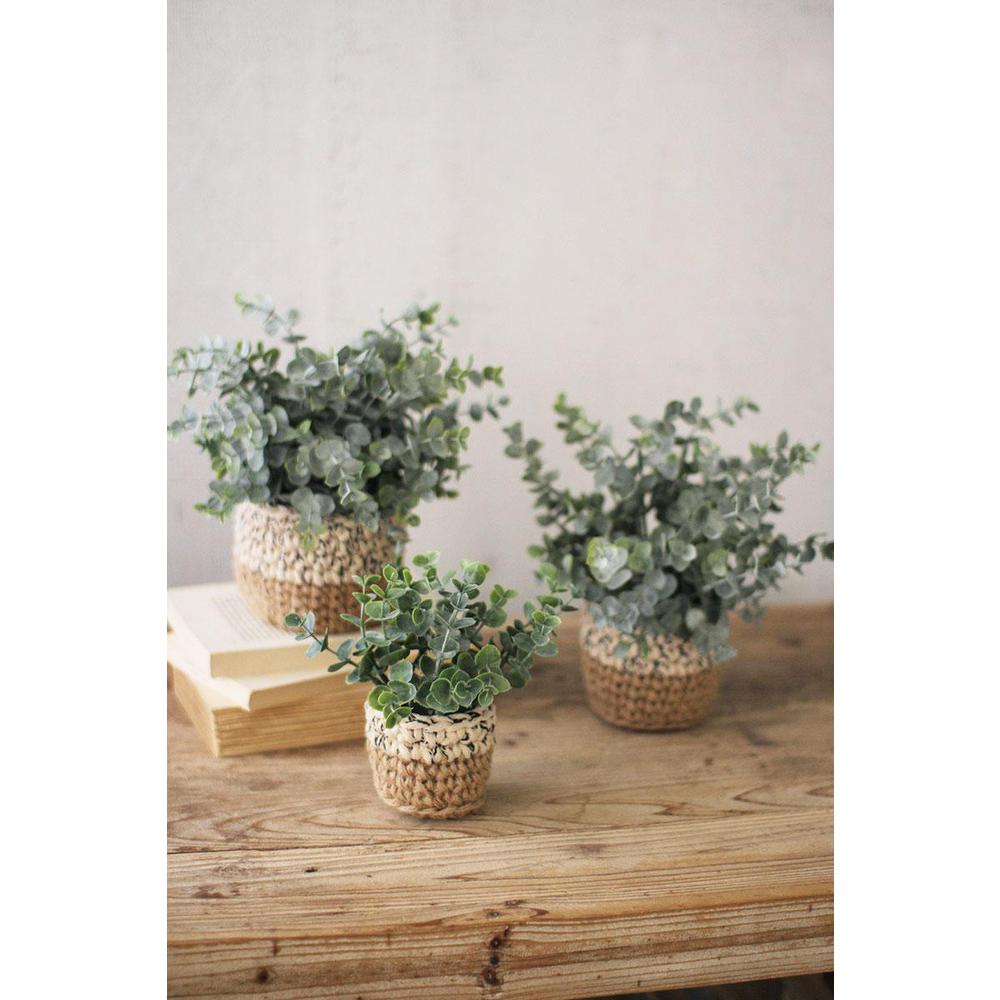 Set Of Three Artificial Eucalyptus Plants In Woven Pots. Picture 2