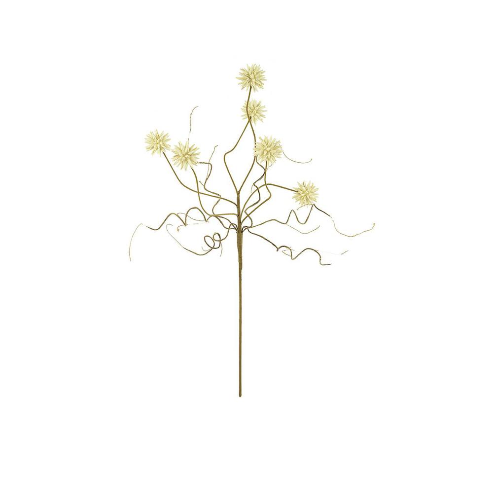 Botanica #2443. Picture 2