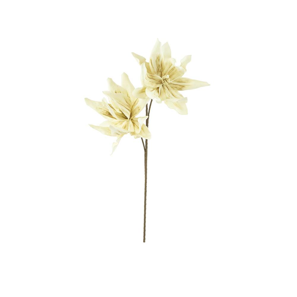 Botanica #2446. Picture 2