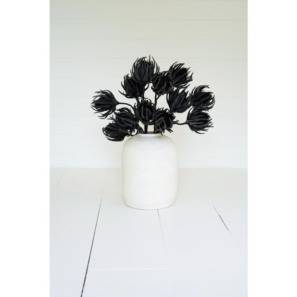 Botanica #2697. Picture 2