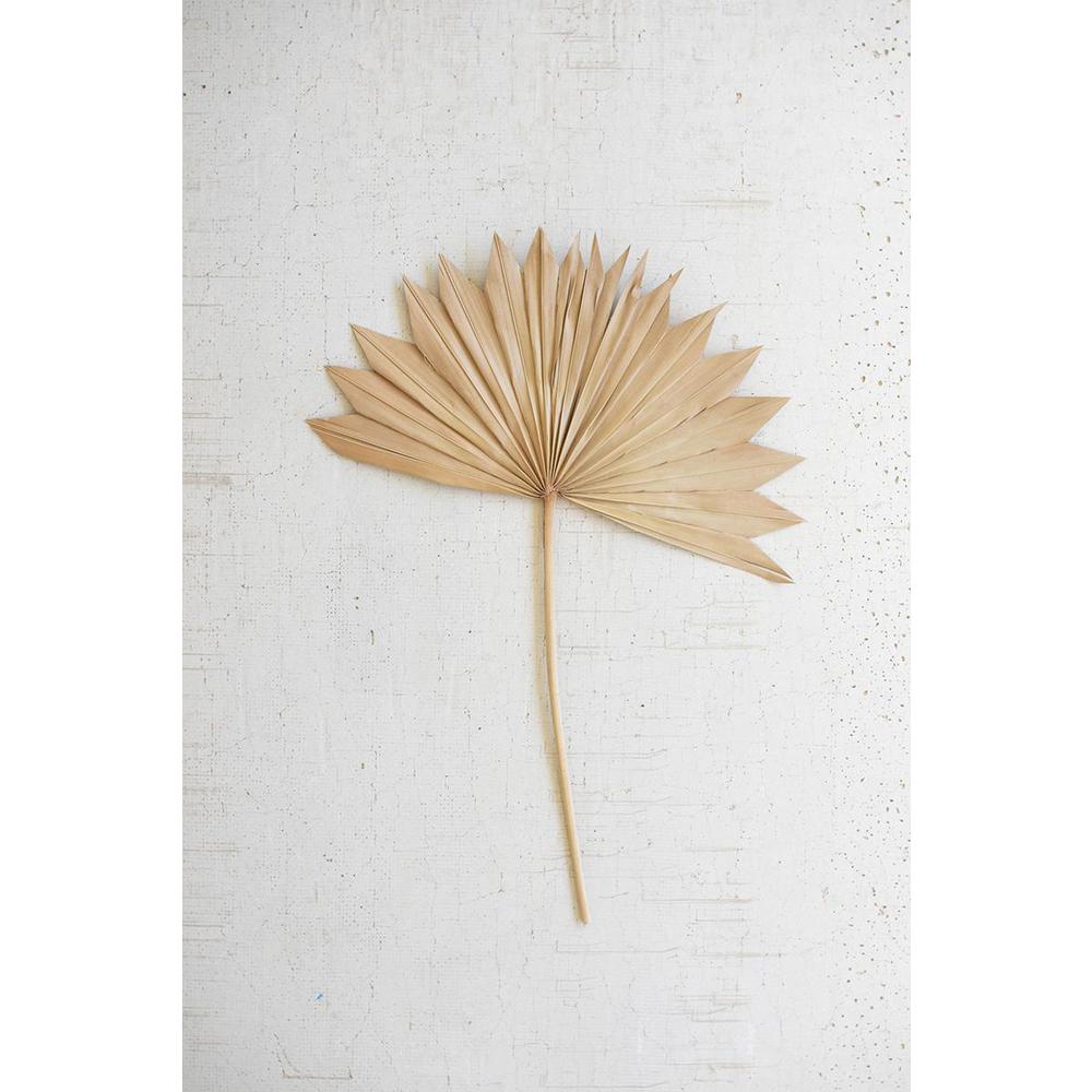 Large Natural Sun Palm Spear. Picture 2