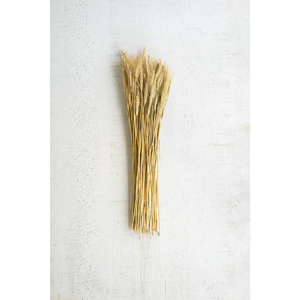 Bundle Of Natural Wheat Stems. Picture 2