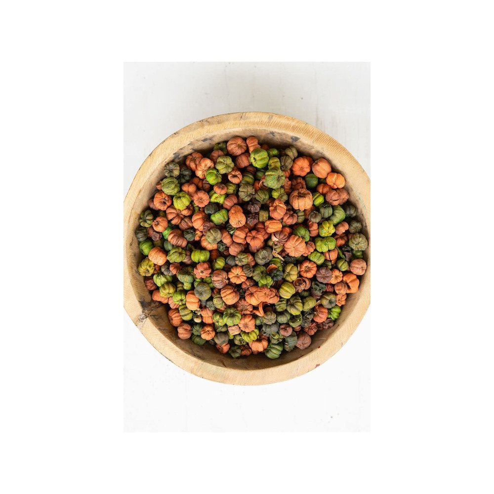Bag Of Orange And Green Putka Pods - 12 Oz.. Picture 2