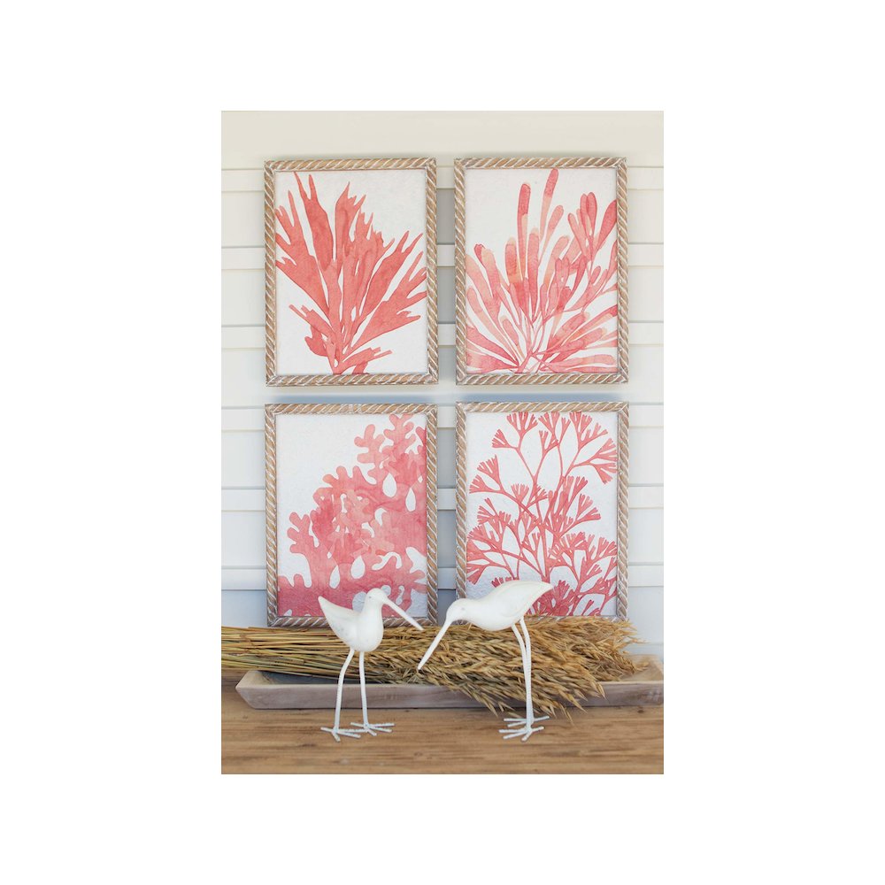 Set Of Four Coral Prints With Wooden Frames. Picture 1