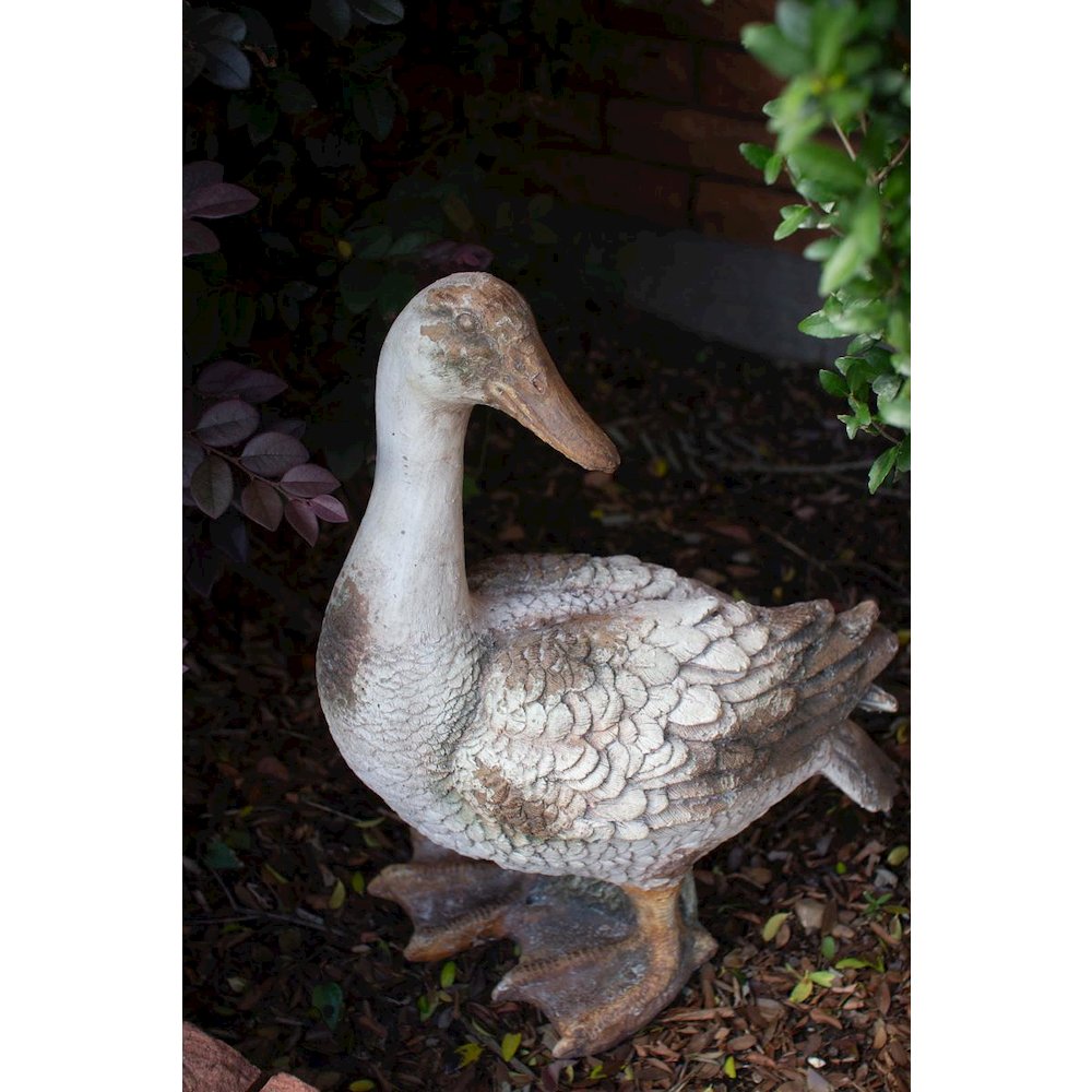 Faux Concrete Duck - Head Up. Picture 4