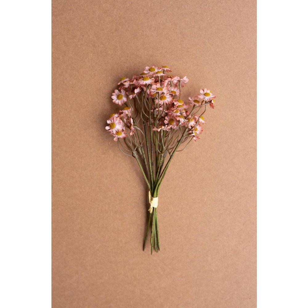 Chamomile Bundle (6 Stems) - Blush. Picture 1