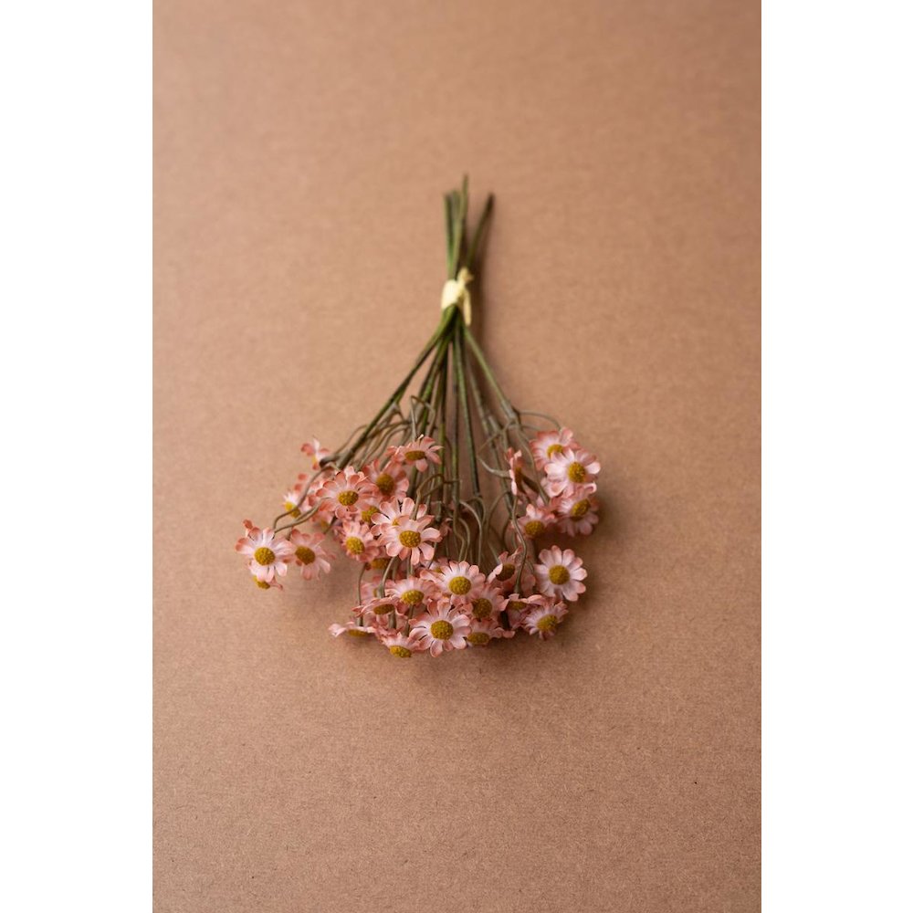 Chamomile Bundle (6 Stems) - Blush. Picture 3