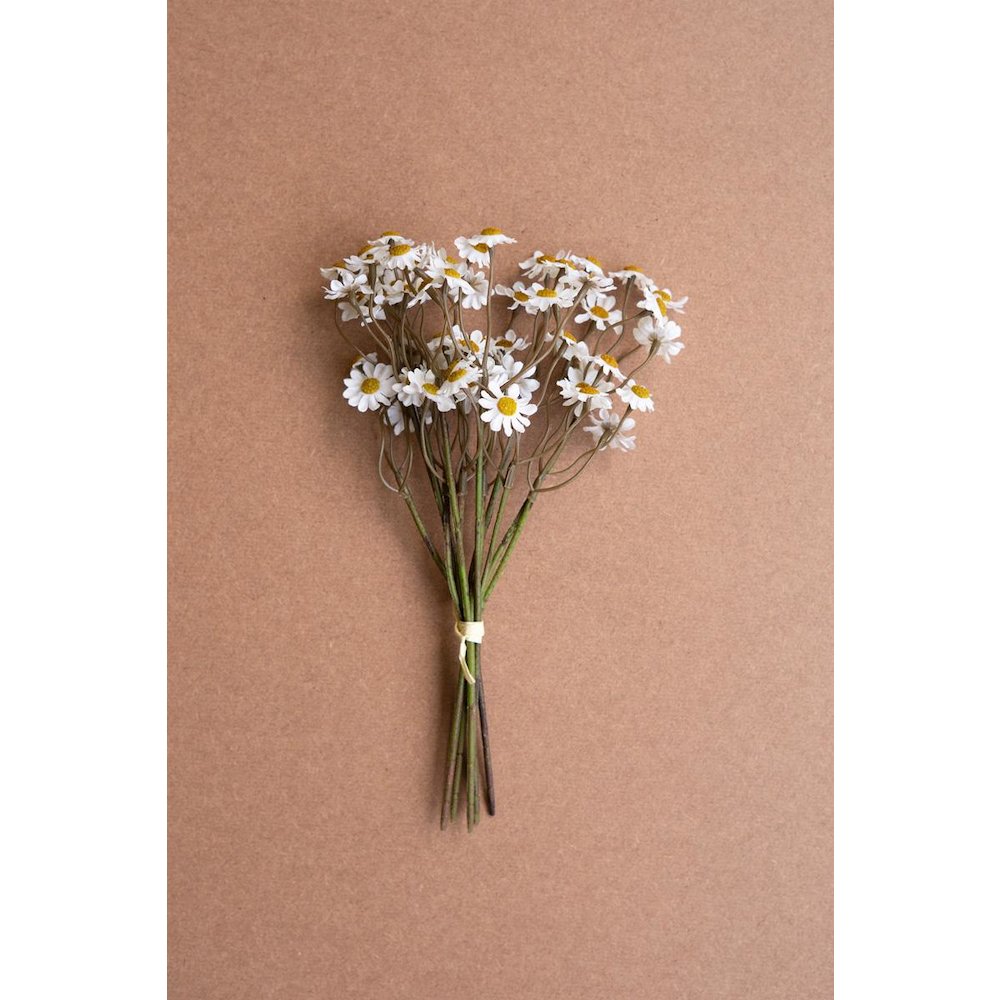 Chamomile Bundle (6 Stems) - White. Picture 1