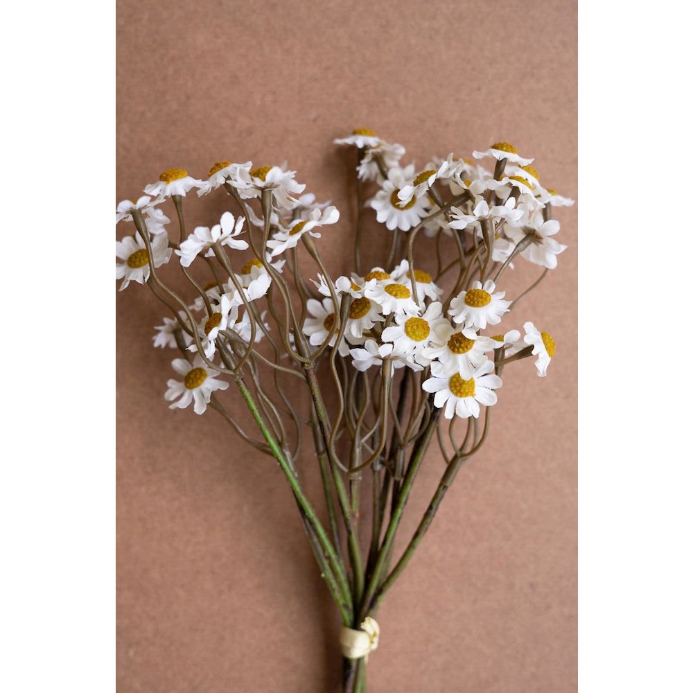 Chamomile Bundle (6 Stems) - White. Picture 3