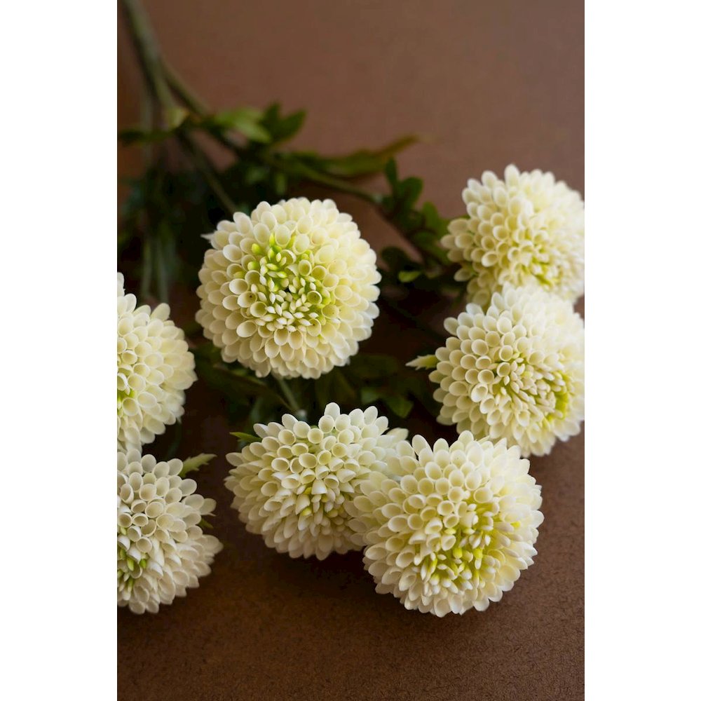 Bundle of Seven Artificial Dalhias - White. Picture 3