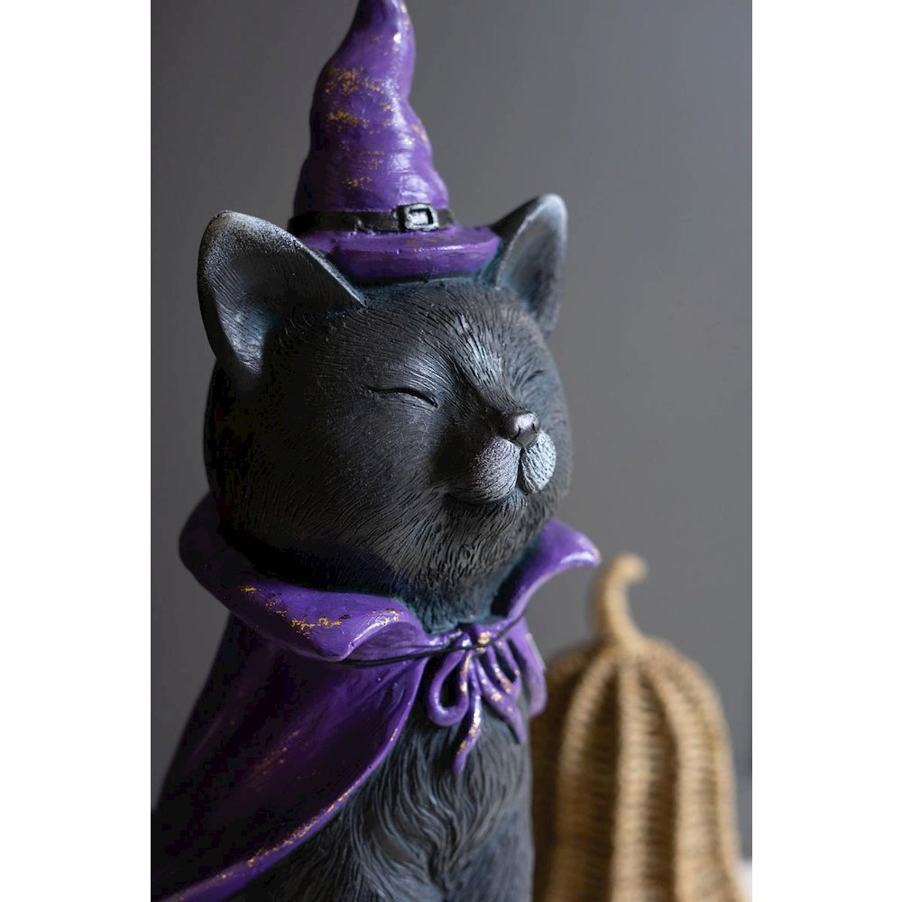 Painted Resin Black Cat With Purple Hat. Picture 2