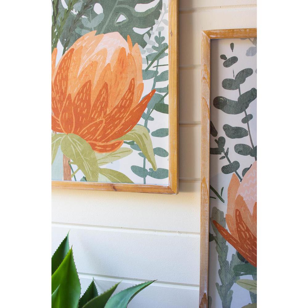 Set Of Two Framed Prints Under Glass - Protea. Picture 3