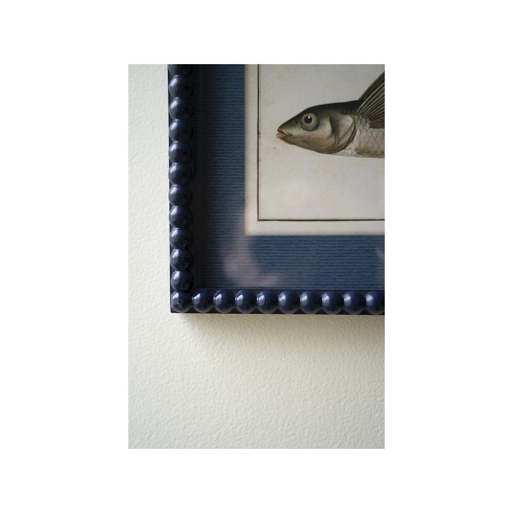 Set Of Two Navy Framed Fish Prints Under Glass. Picture 2