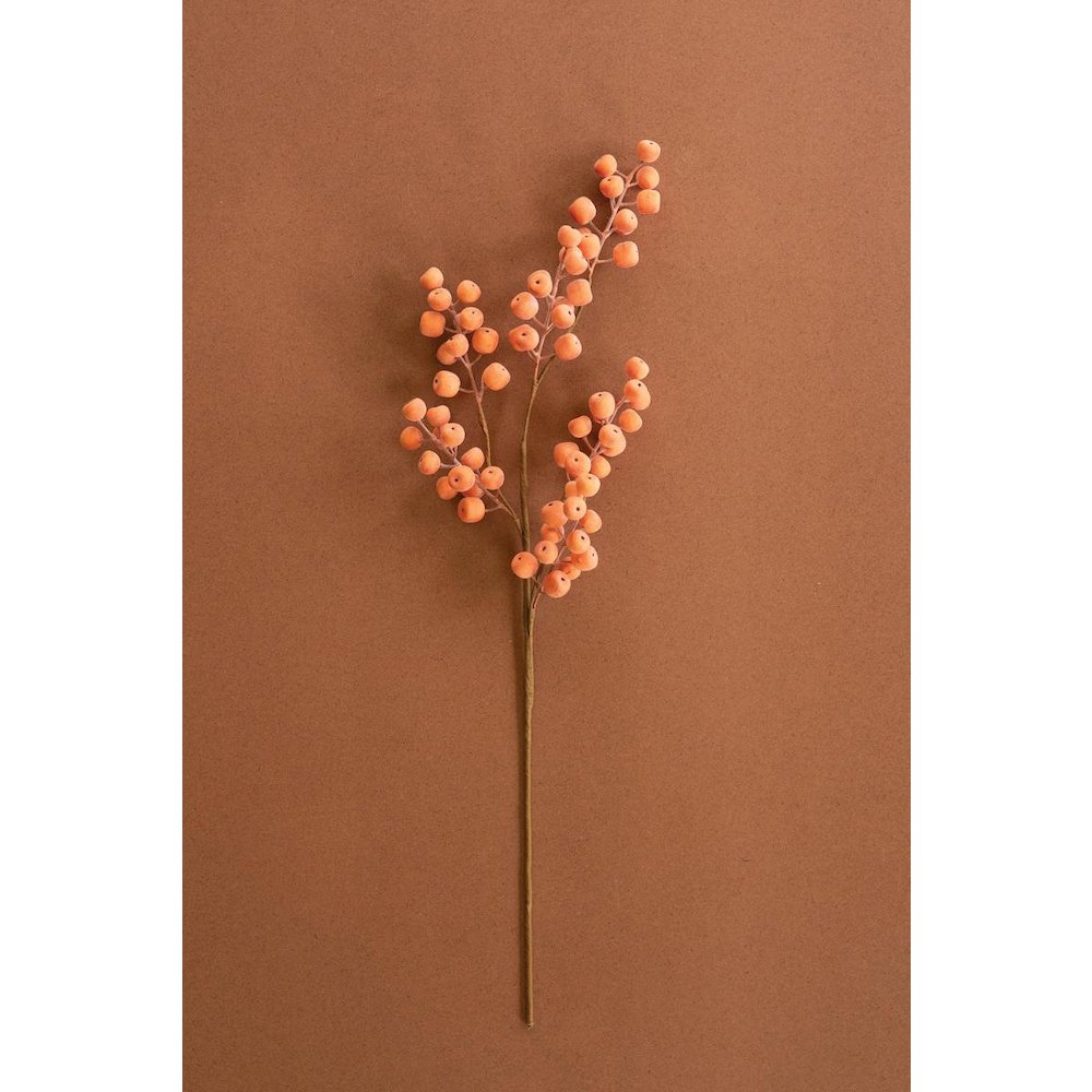 Botanica #9020. Picture 1