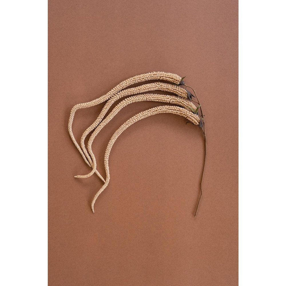 Botanica #9031. Picture 1