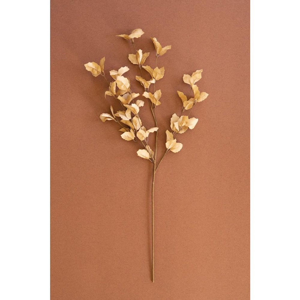 Botanica #9038. Picture 1