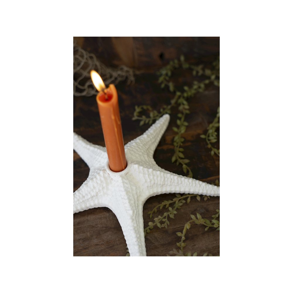 Poly Resin Starfish Taper Holder. Picture 2