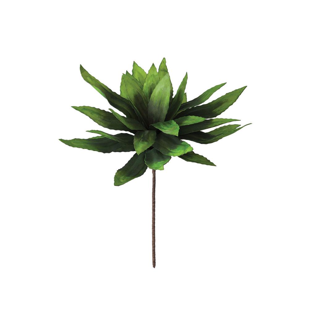 Botancia #294. Picture 1