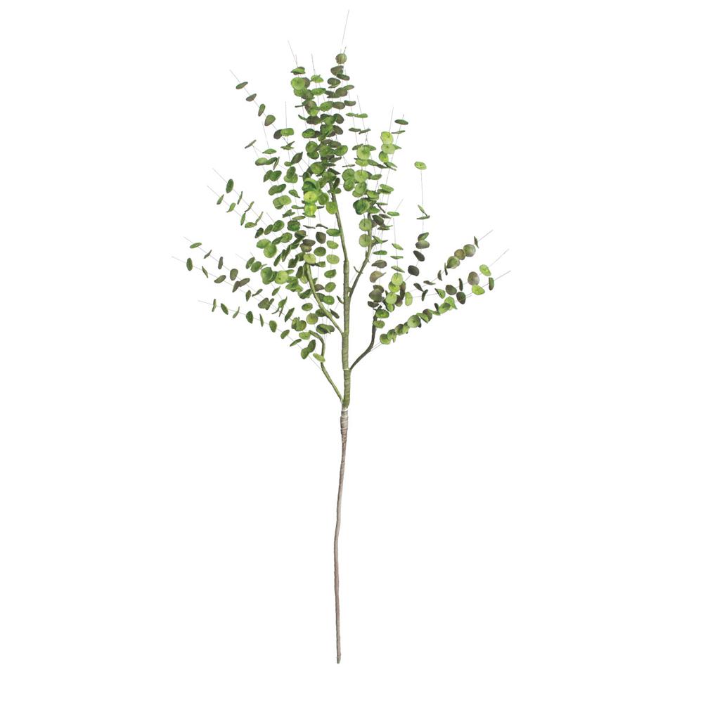 Botanica #850. Picture 1