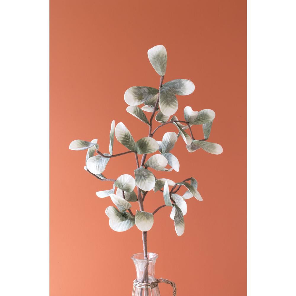 Botanica #875. Picture 3