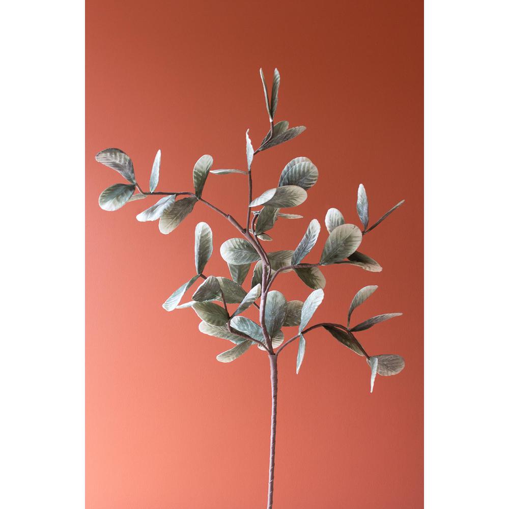 Botanica #875. Picture 5