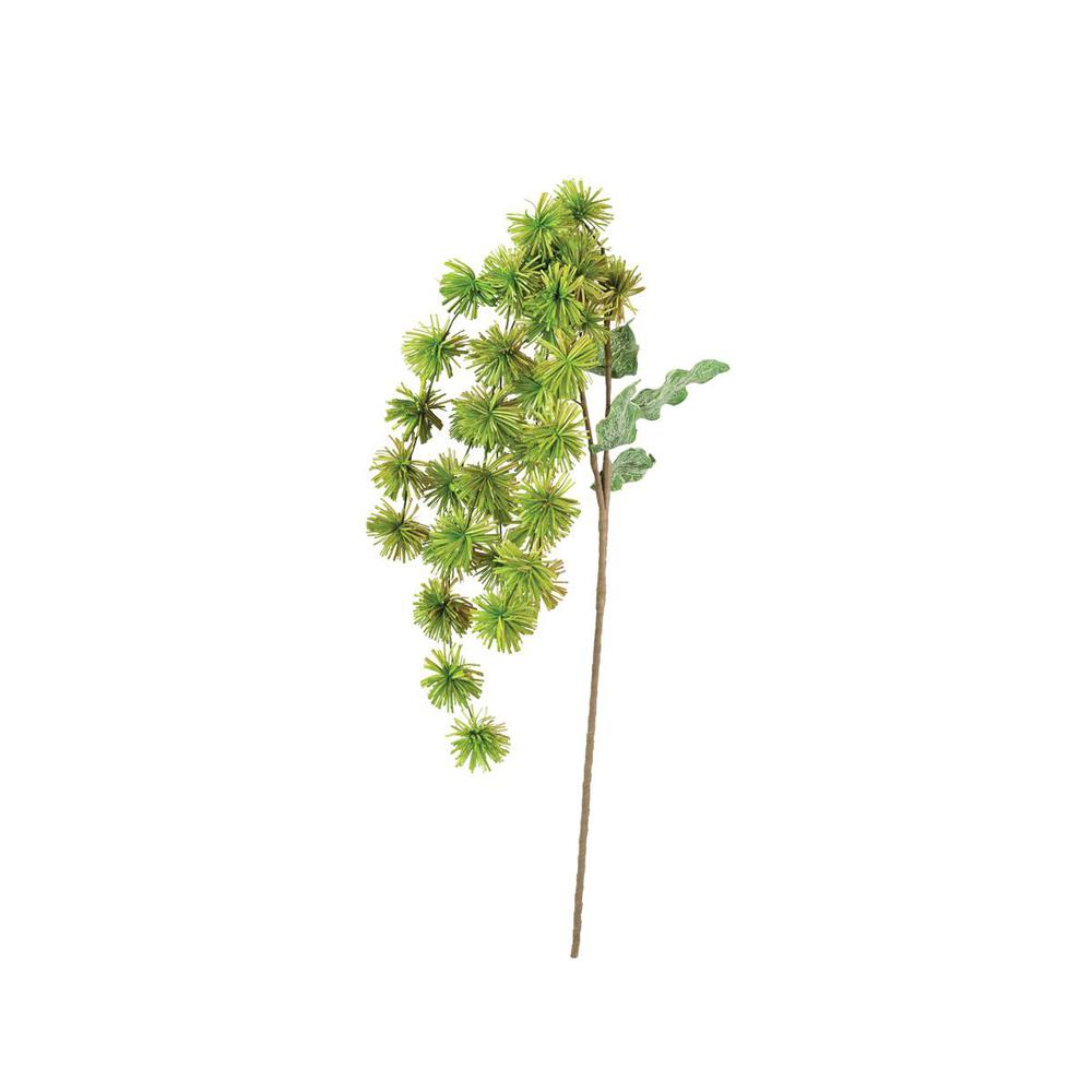 Botanica #3323. Picture 1