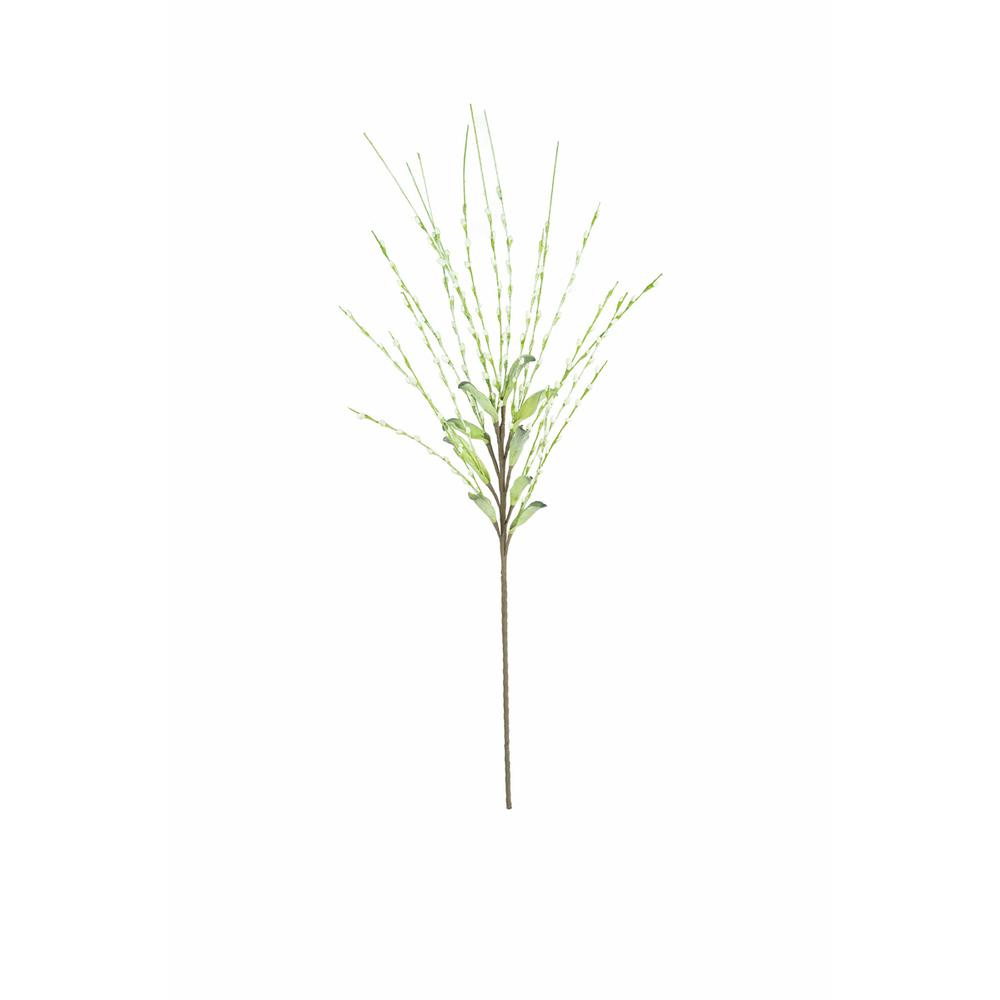 Botanica #3366. Picture 1