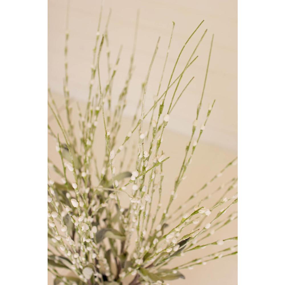 Botanica #3366. Picture 2