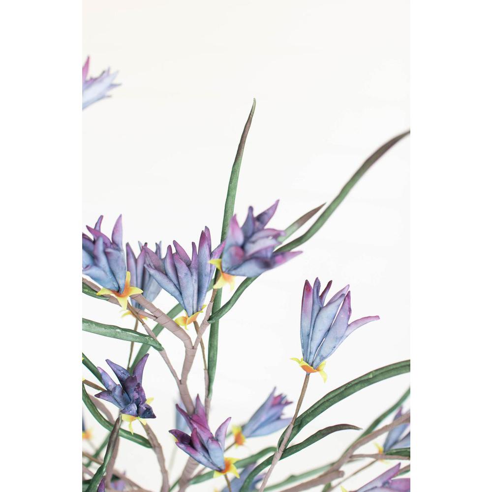 Botanica #3384. Picture 3