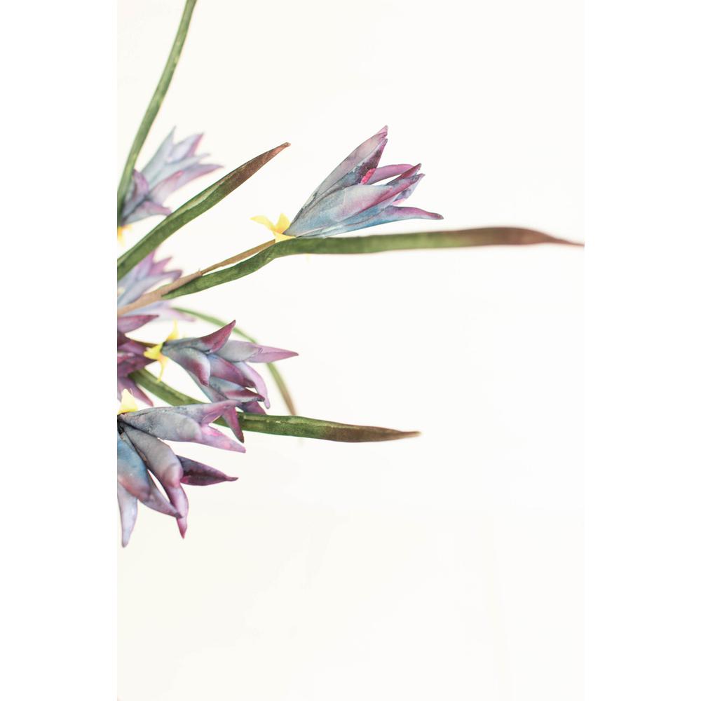 Botanica #3384. Picture 4