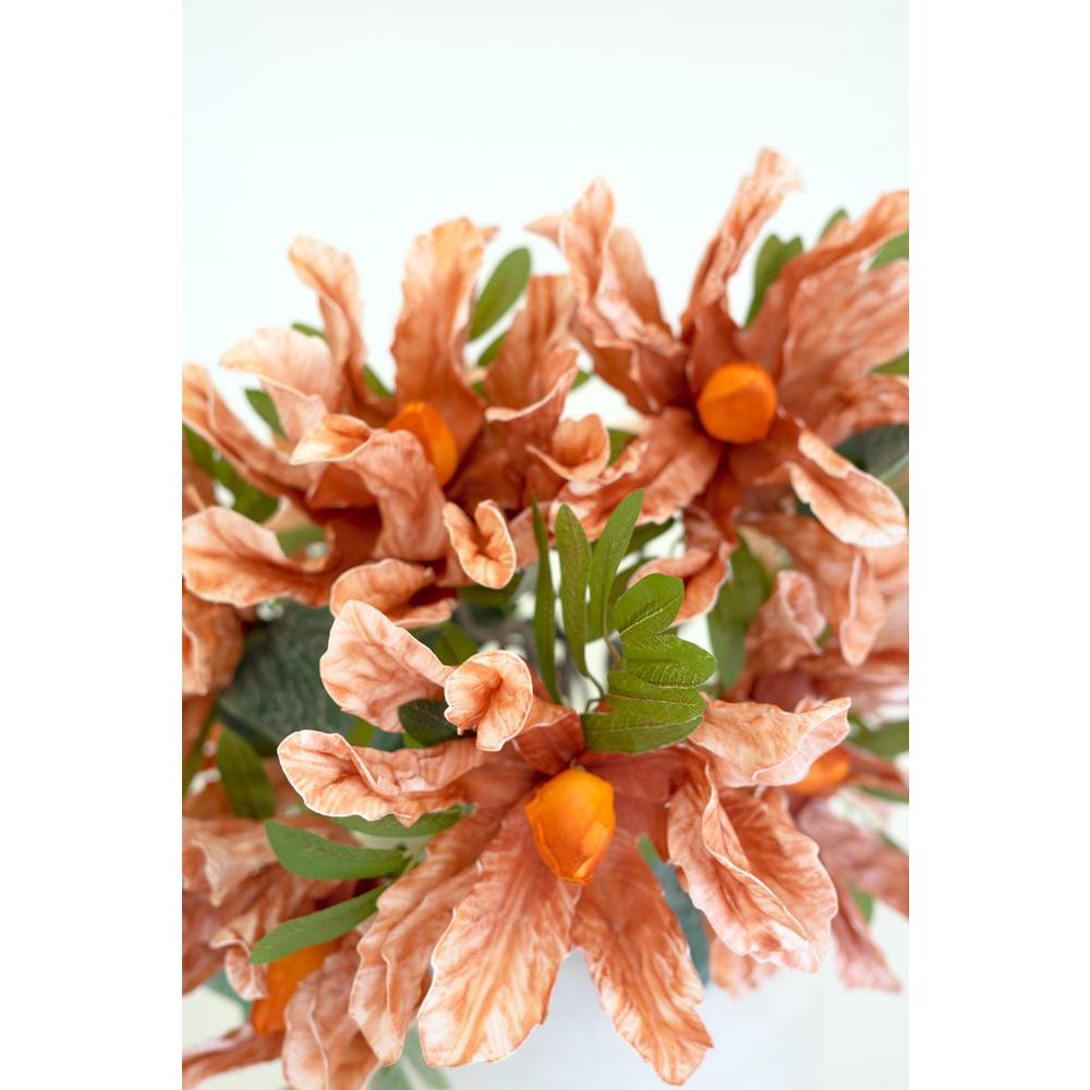 Botanica #3460. Picture 4
